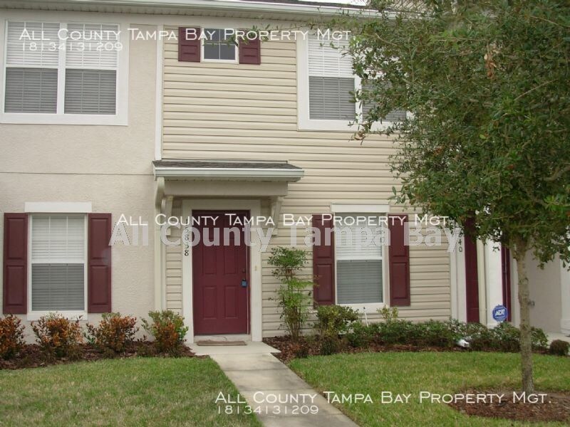15838 Fishhawk Falls Dr, Lithia, FL 33547 Townhome Rentals in Lithia