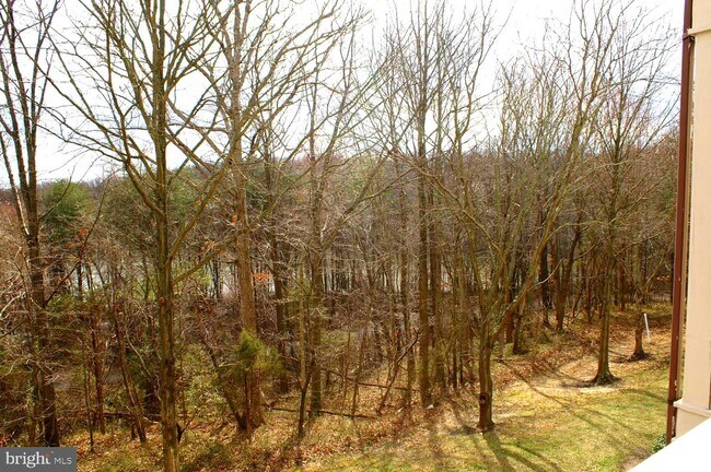 Building Photo - 6111 Wigmore Ln
