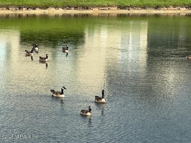 Building Photo - 1890 Copper Stone Drive