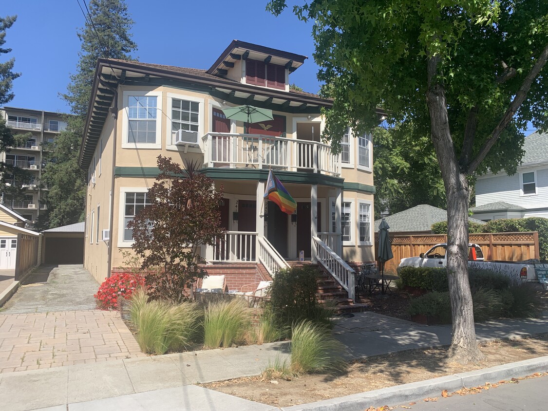 Primary Photo - 243 Cowper St