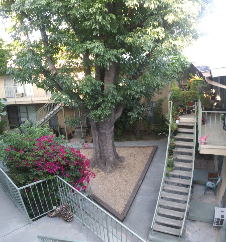 Primary Photo - 2131 N Cahuenga Blvd