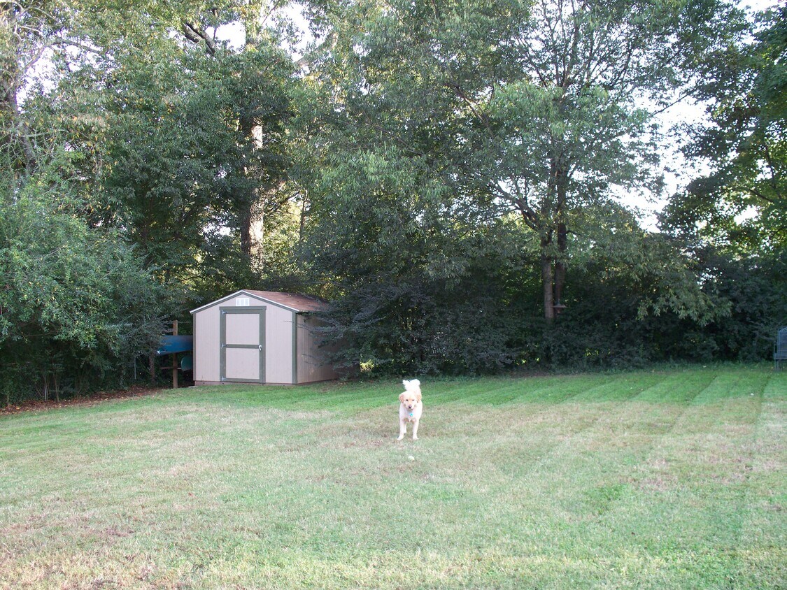 Backyard with fence and doggie door - 1416 Williams Road (Chattanooga, TN)