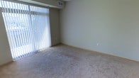 This single-floor residential space offers a clean, functional layout with a straightforward design. The main living area is finished with wall-to-wall carpeting in a neutral beige tone, providing a soft underfoot feel throughout the room. Smooth, light-colored walls in a muted green-beige hue create a calm and understated ambiance, complemented by simple white baseboards that define the perimeter of the space.

A prominent feature of the living area is the large floor-to-ceiling window dressed with vertical blinds, which allows for an abundance of natural light to filter into the room, creating a bright and airy atmosphere. The window offers a view of outdoor greenery, adding a refreshing natural element to the interior. An HVAC vent positioned near the window and a wall-mounted outlet indicate practical climate control and utility accessibility throughout the space.

The overall design is minimal and unfurnished, allowing for versatile arrangement possibilities. The room's neutral palette and straightforward finishes make it an adaptable space suited to a variety of interior styles. This single-level layout prioritizes ease of movement and everyday functionality.