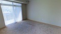 This single-floor residential space offers a clean, functional layout with a straightforward design. The main living area is finished with wall-to-wall carpeting in a neutral beige tone, providing a soft underfoot feel throughout the room. Smooth, light-colored walls in a muted green-beige hue create a calm and understated ambiance, complemented by simple white baseboards that define the perimeter of the space.

A prominent feature of the living area is the large floor-to-ceiling window dressed with vertical blinds, which allows for an abundance of natural light to filter into the room, creating a bright and airy atmosphere. The window offers a view of outdoor greenery, adding a refreshing natural element to the interior. An HVAC vent positioned near the window and a wall-mounted outlet indicate practical climate control and utility accessibility throughout the space.

The overall design is minimal and unfurnished, allowing for versatile arrangement possibilities. The room's neutral palette and straightforward finishes make it an adaptable space suited to a variety of interior styles. This single-level layout prioritizes ease of movement and everyday functionality.