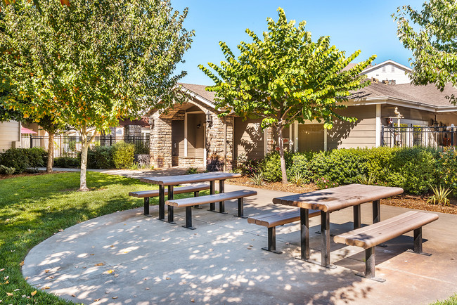 Picnic Area - Vineyard Creek Apartments