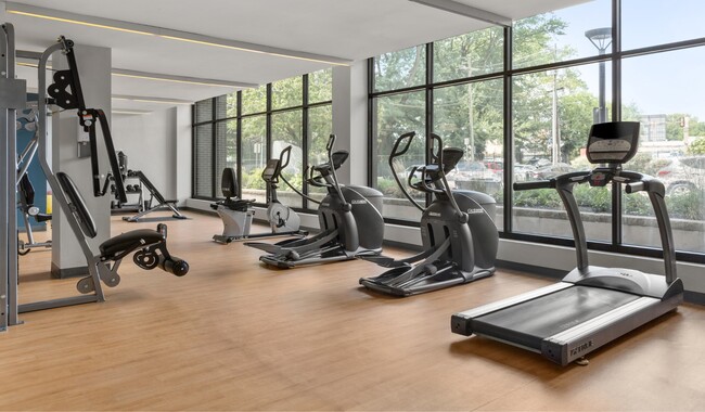 Reach your fitness goals in our state-of-the-art fitness center - Vista