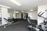 Located at 255 Honeysuckle Cir in Lawrenceville, Georgia, this single-floor fitness center is a well-equipped facility designed to support a comprehensive workout experience. The space is divided into distinct functional zones, each tailored to a specific type of exercise. The cardio area is outfitted with multiple machines, including ellipticals, a stationary bike, and a treadmill, all positioned beneath bright fluorescent lighting and alongside windows that allow natural light and outdoor views. A wall-mounted flat-screen television adds an entertainment element to cardio sessions. The strength training area features a multi-function cable machine, a dedicated free weights section with a dumbbell rack and adjustable bench, and open floor space ideal for stretching or bodyweight exercises. A large wall mirror visually expands the space and allows users to monitor their form. Throughout, durable dark rubber flooring provides both safety and functionality. The facility also includes a restroom conveniently accessible from within the space. Neutral-toned walls and a textured ceiling contribute to a clean, utilitarian aesthetic. A glass-panel entry door opens directly to the outdoors, enhancing accessibility and ventilation.