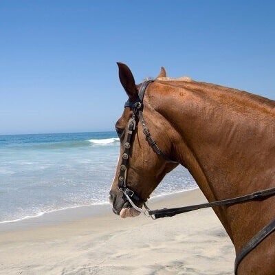 Imperial Beach