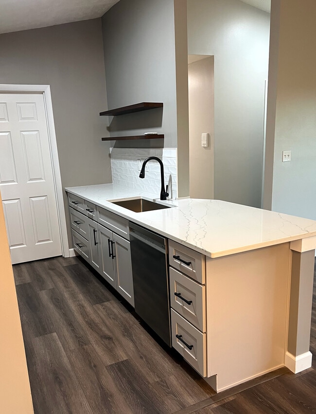 New Kitchen Sink & Dishwasher - 8892 Eagleview Dr