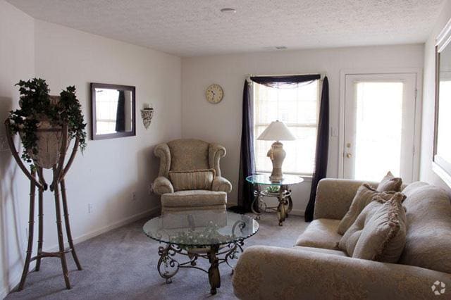 Living Room - Stone Ridge Flats and Townhomes