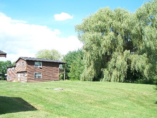 Building Photo - Springbrook Apartments