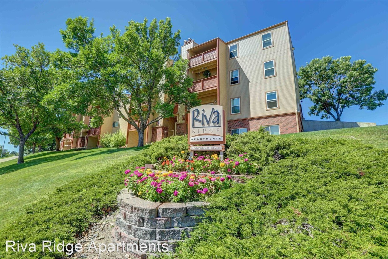 Primary Photo - 1 br, 1 bath Apartment - 455 Wright Street...
