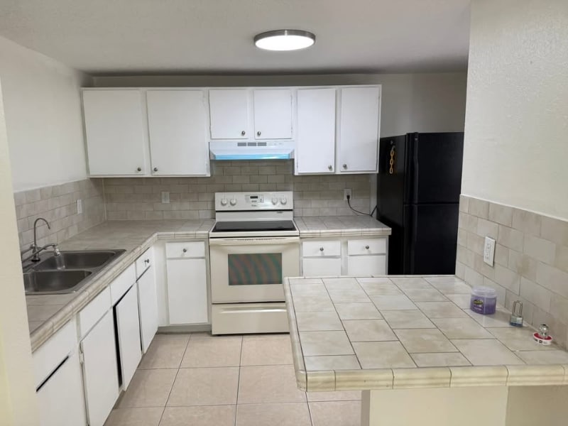 Photo - 10203 Carriage Glen Ct (Tampa, FL)