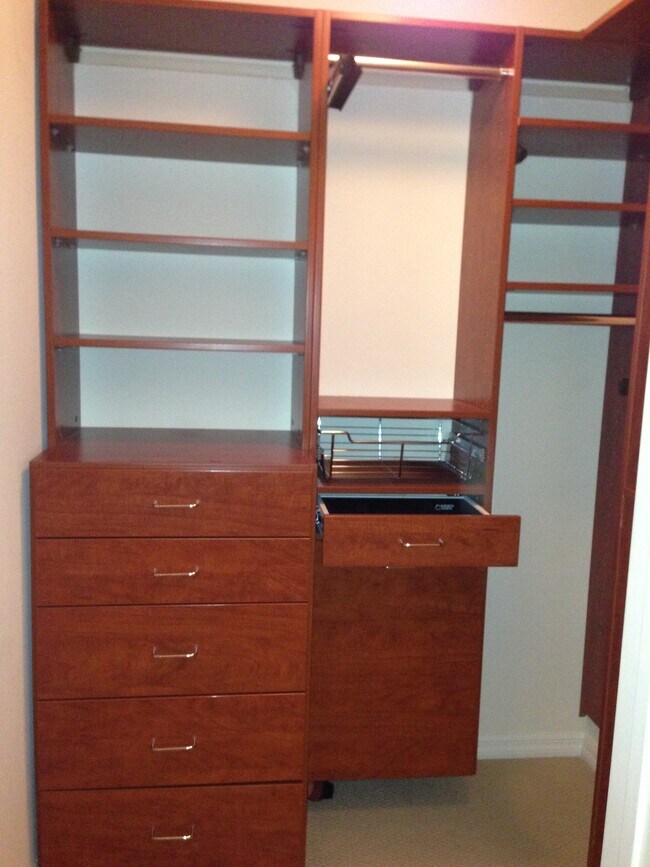 Custom-Built Walk-In Closet - 3901 Lick Mill Blvd