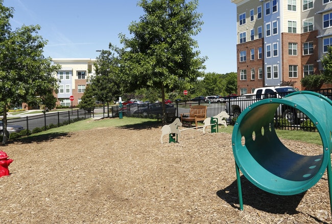 Parque para perros - The Greens at Centennial Campus