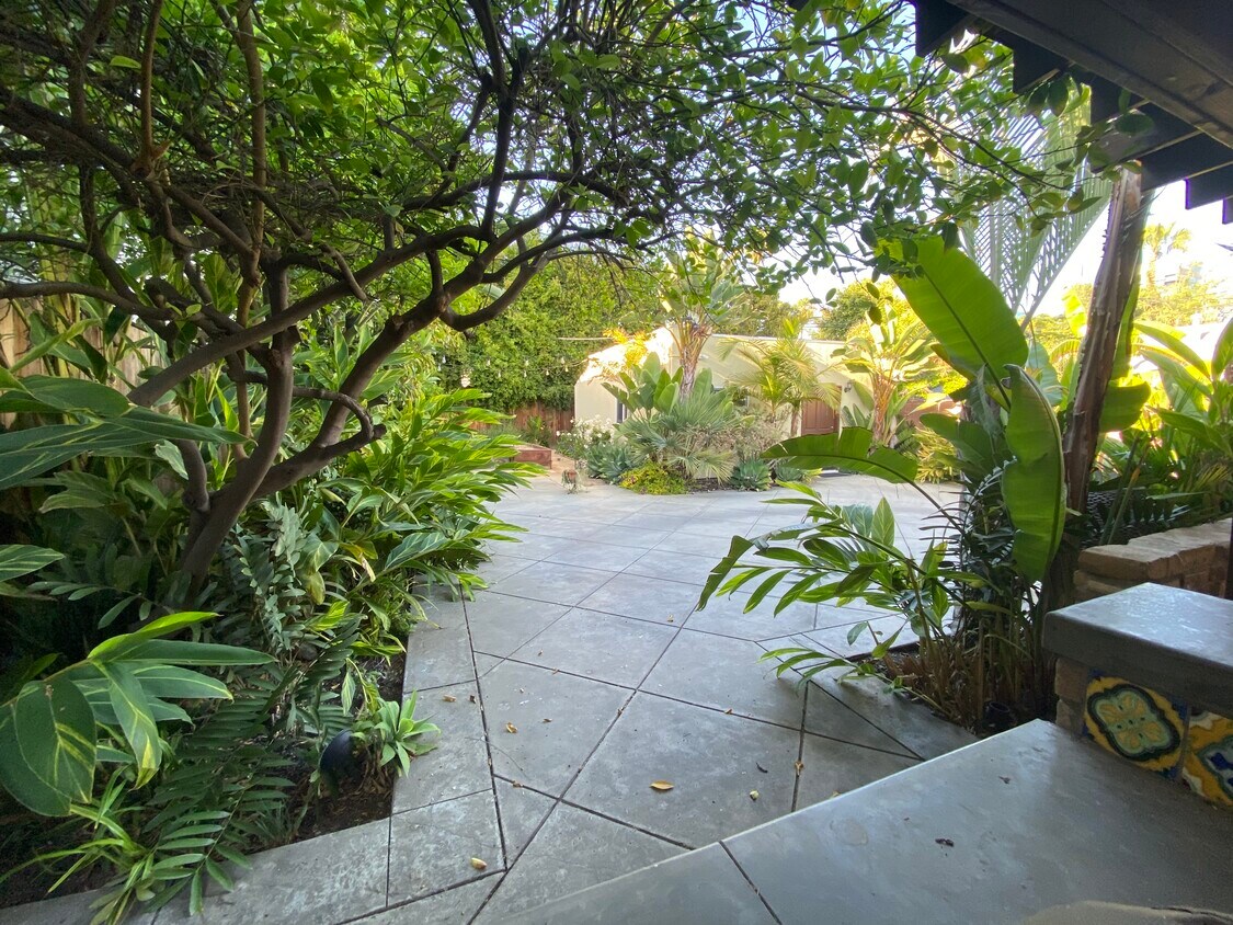 Patio trasero - 6551 Fountain Ave
