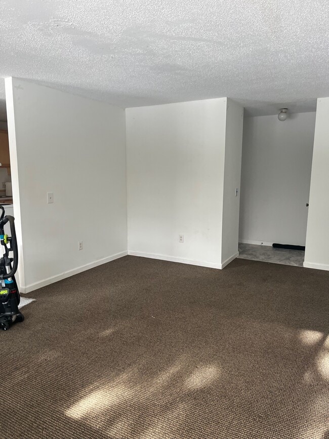 SWC de Lolo y York Zoom2 - 234 Quarry Hill Rd