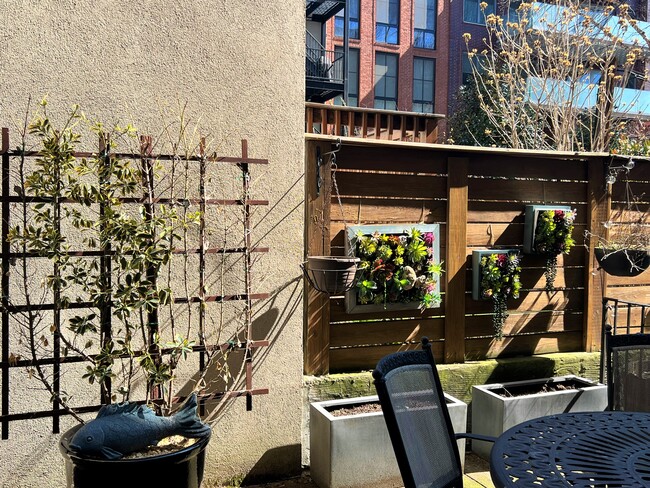 Yard - 129 Willow Ave