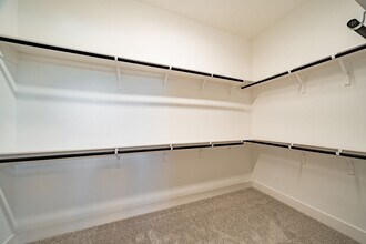 Building Photo - 10916 Brambling Wood Dr