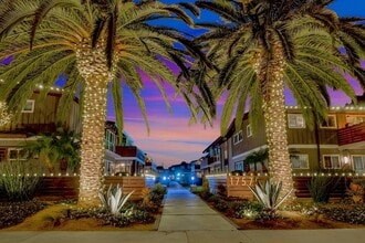 Palm View Village photo'
