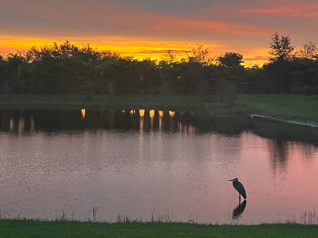 Photo - 11752 Solano Dr House