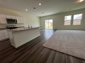 Building Photo - 1005 Wild Enclave Ln