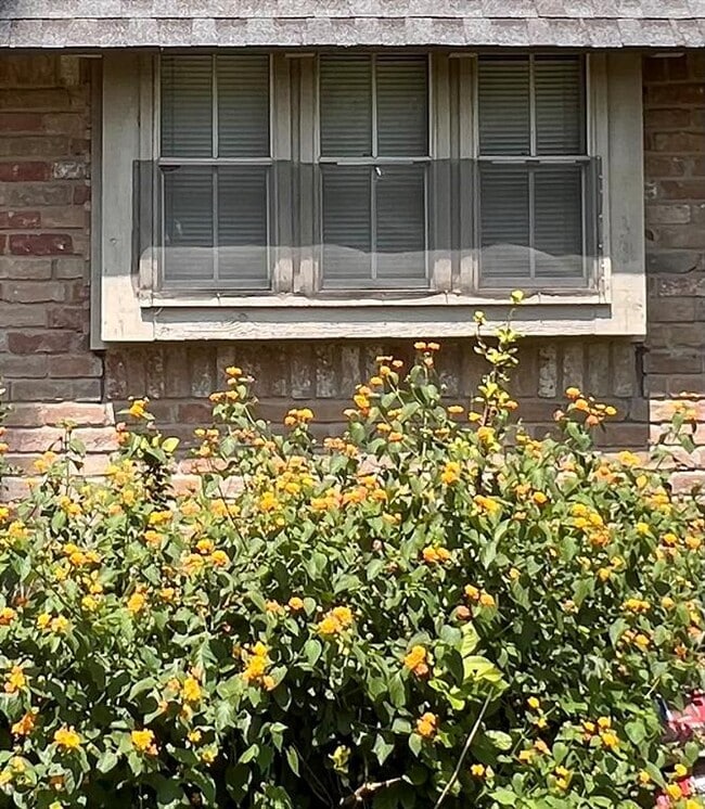 Building Photo - 8210 Hollyleaf Dr
