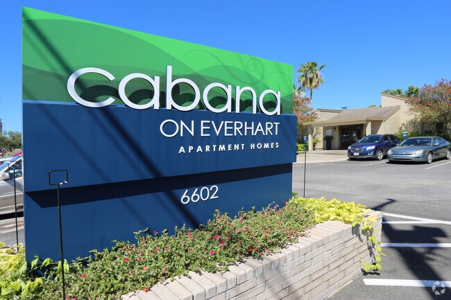 Cabana On Everhart Apartments Corpus Christi Tx Building Photo Cabana On Everhart