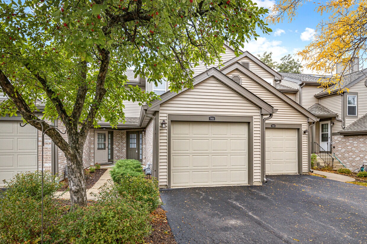 991 Butter Creek Ct, Hoffman Estates, IL 60169 Townhome Rentals in