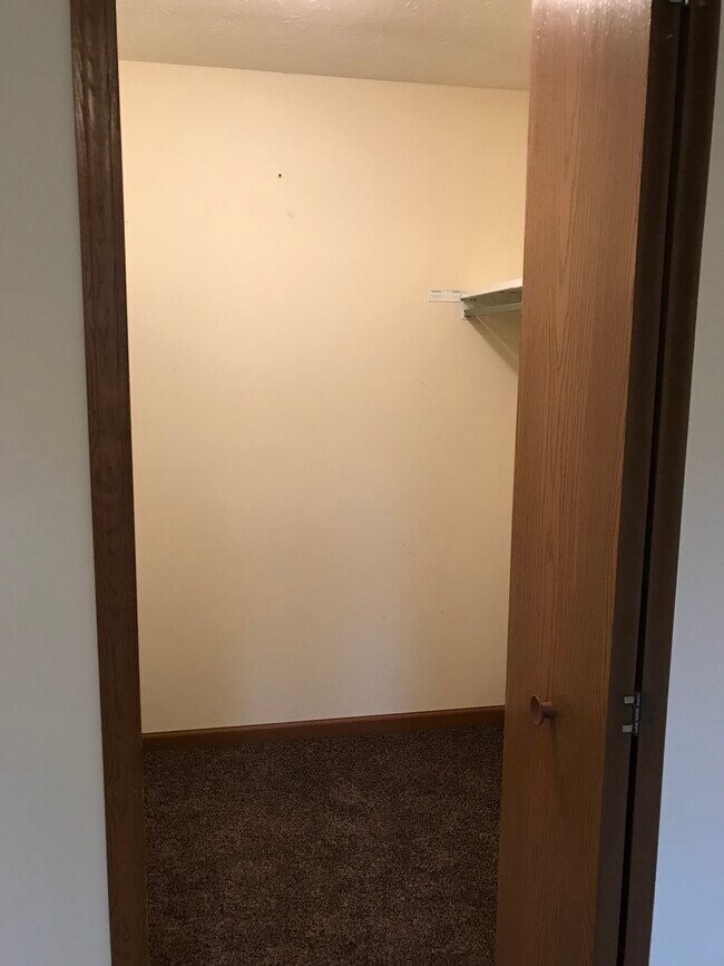 Bedroom 1 Walk-in Closet - 222 Park Dr
