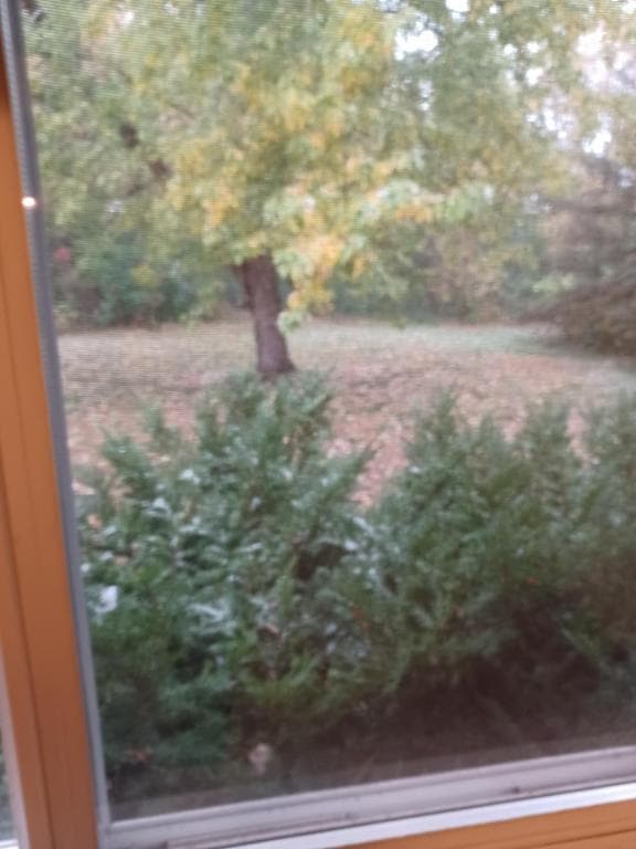 Foto del edificio - 11840 26th Ave