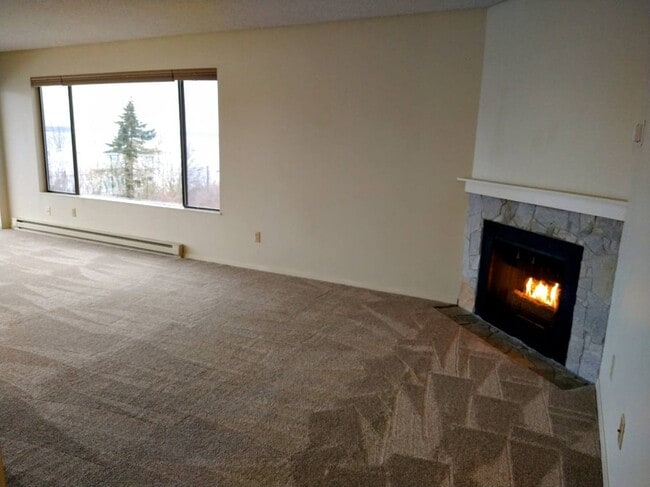 Fireplace - 1014 11th St