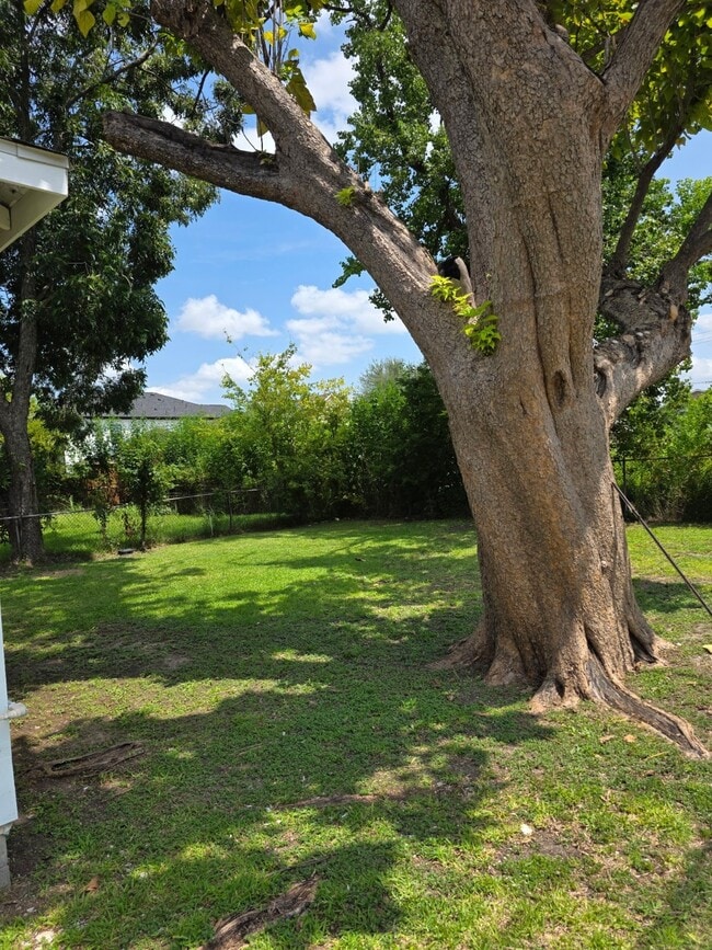 Building Photo - 8133 Brandon St