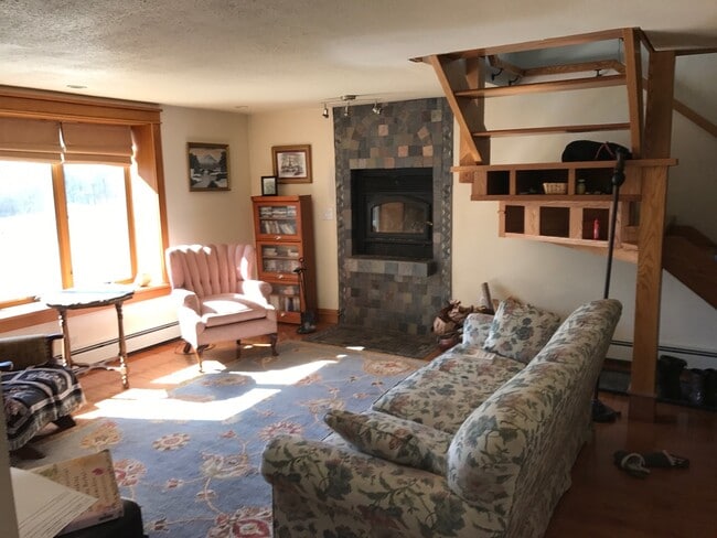 Living Room - 215 Amherst St