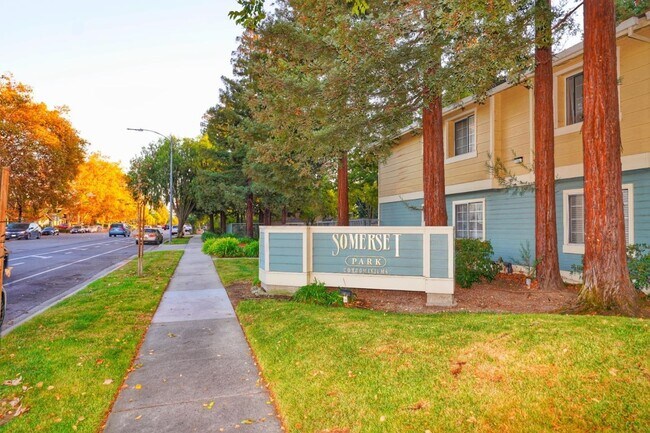 Building Photo - 2716 Somerset Park Cir