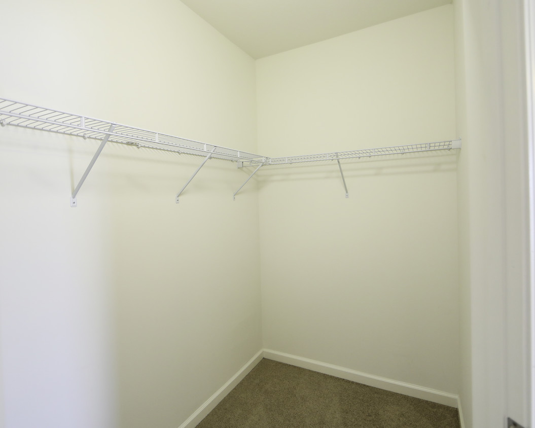 Walk-In Closet - Regency Springs Apartments/South Street Lofts