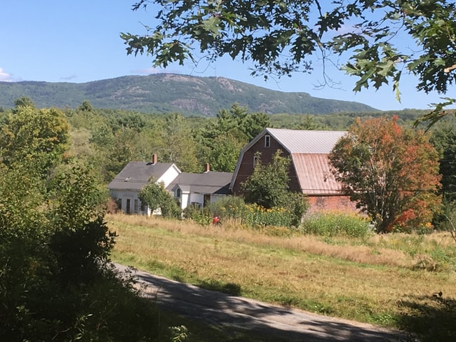 Building Photo - 314 Davis Rd