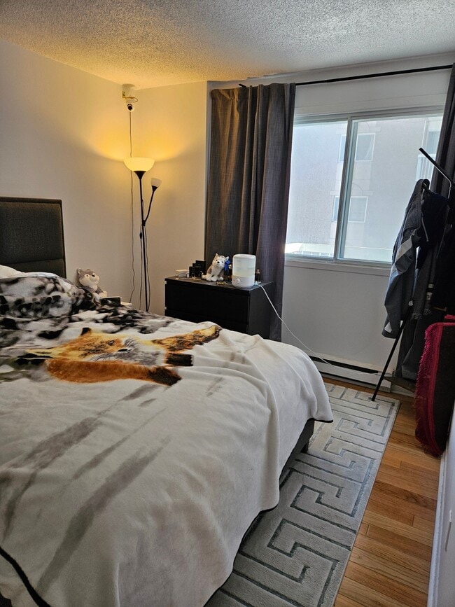 Photo du bâtiment - 10100 Rue Paul-Comtois