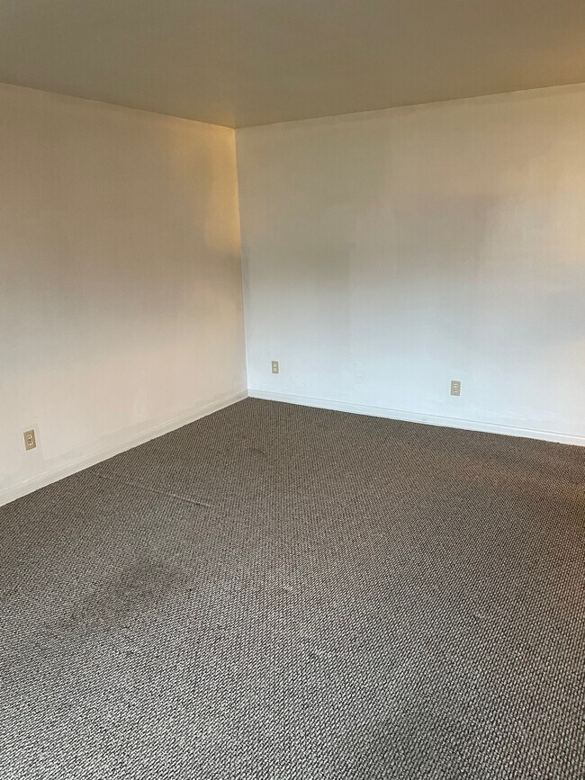 Living Room - 105 Gilson Ave