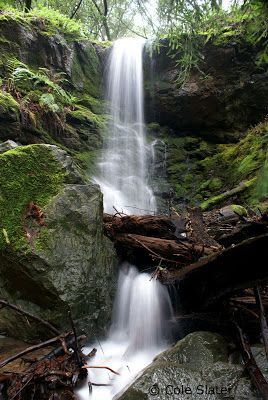 Short walk to Dawn Falls trailhead - 33 Redwood Ave