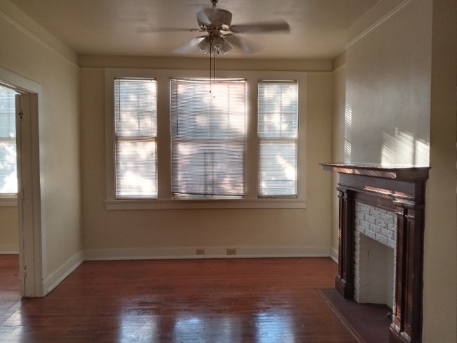 Photo - 800 N Olympia St (New Orleans, LA) Apartment