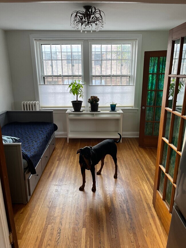 Day bed - 3850 E 17th Ave