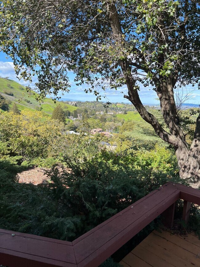 Foto del edificio - 1542 Rancho View Dr