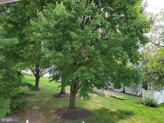 Foto del edificio - 1659B Trellis Cir