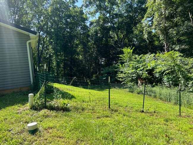 Foto del edificio - House on 5 acres 3 beds, 2 baths