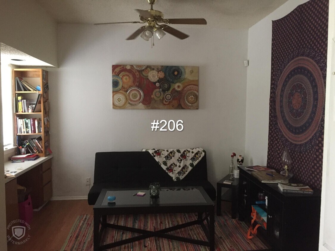 3316 Guadalupe St Unit 206, Austin, TX 78705 Condo for Rent in Austin