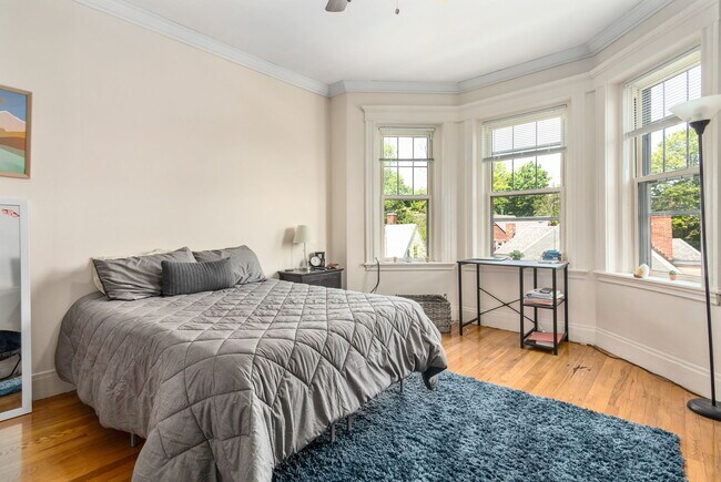 Foto del edificio - 22 Orkney Rd