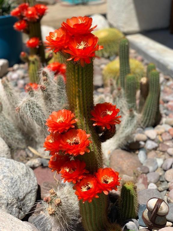 Foto del edificio - 6413 Center St