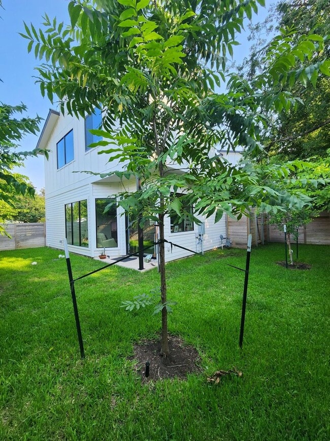 Building Photo - Modern Oasis in Austin's North Loop