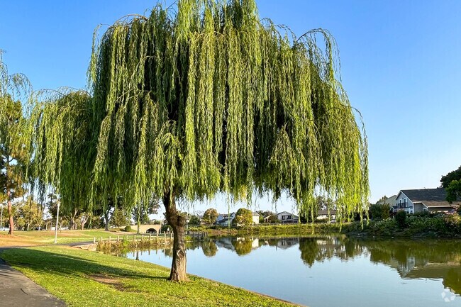 Enjoy a lazy morning relaxing in the sun at Newark's the Lakeshore Park.